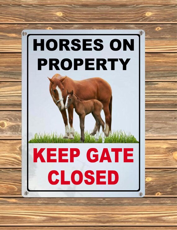 Cartello Cavalli Sciolti Nel Recinto Del Campo / Scelta Di Colori - Foto 5