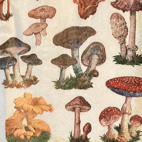 3 Decoupage Hostess Napkins - Mushrooms Lovers Drawing 16" x 13" Unfolded