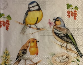 3 Decoupage Beverage Napkins, Birds on Spring Branches With Nest, 10" x 10" unfolded