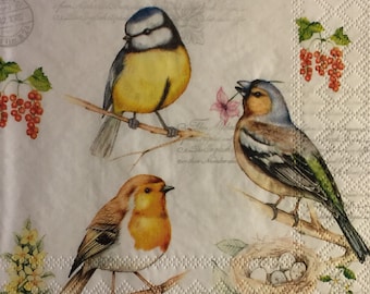 3 Decoupage Napkins, Birds on Spring Branches With Nest, 13" x 13"