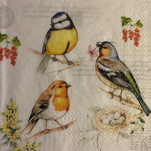 3 Decoupage Beverage Napkins, Birds on Spring Branches With Nest, 10&quot; x 10&quot; unfolded