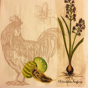 3 Decoupage Luncheon Servietten, Henne botanische Ostern Collage, 13 "x 13"