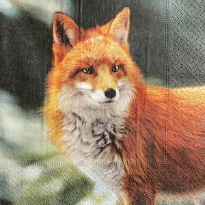 3 serviettes de découpage, renard roux des forêts, 13 » x 13 » déplié