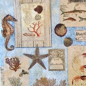 3 Decoupage Napkins, Blue Ocean Sea Shells Life Collage 13" x 13" Unfolded