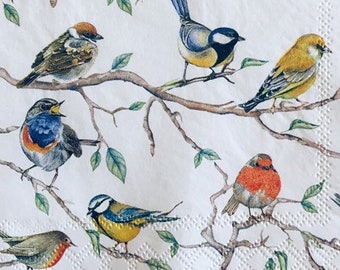 3 servilletas de decoupage, 52 pájaros en ramas, 33 x 33 cm sin doblar