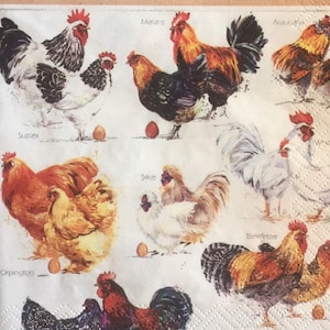 3 Decoupage Servietten, Hahnen Hennen Eier Zeichnung, 13" x 13" Unfolded