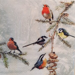 3 serviettes de découplage, oiseaux d’hiver ensemble 13 » x 13 » dépliés
