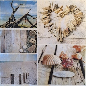 3 servilletas para el almuerzo con decoupage, conchas marinas de verano, naturaleza muerta, océano, 13 x 13 pulgadas, sin doblar