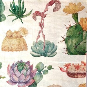 3 serviettes d'hôtesse à découper - succulentes cactus amoureux dessin 16 "x 13" déplié