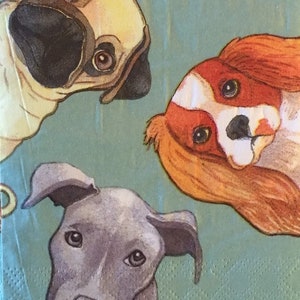 3 Decoupage Hostess Servietten - Hunde Peekaboo 13 "x 16" entfaltet