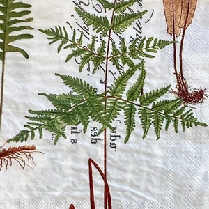 3 serviettes de table de découpage - Collage de fougères et de plantes vertes, 13" x 13" dépliées