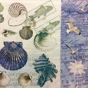3 Servilletas Decoupage, Conchas Marinas Antiguas Azul 13" x 13" desplegadas
