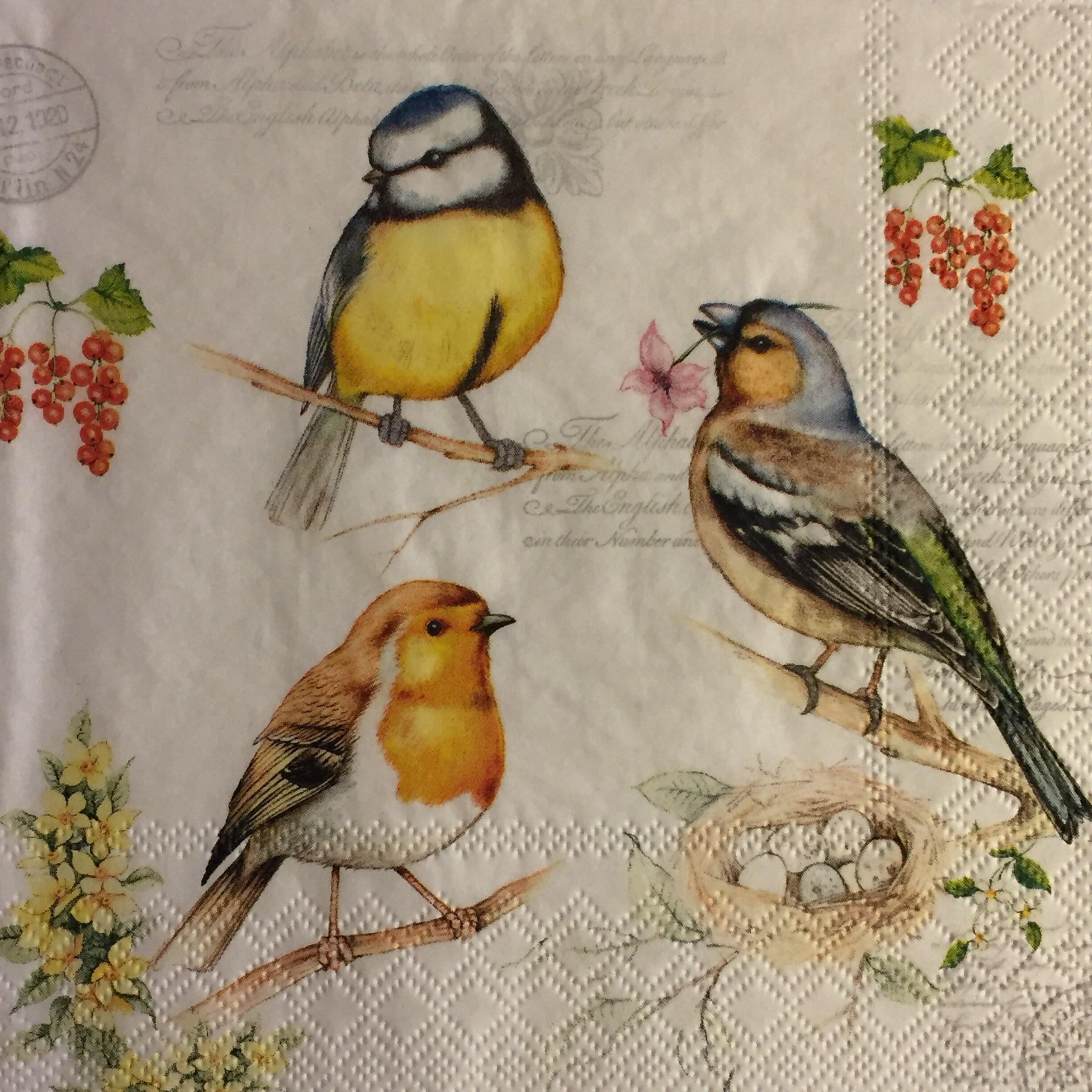 3 Decoupage Napkins Birds on Spring Branches With Nest Etsy