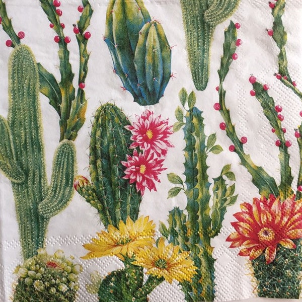 3 Decoupage Beverage Napkins, Beautiful Cacti Flowers 10" x 10" unfolded