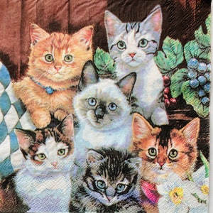 3 Decoupage Servetten, Huisdier Katten, 13" x 13" uitgevouwen