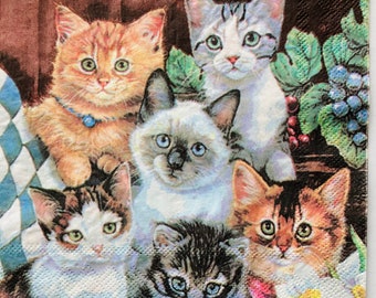 3 Decoupage Napkins, Pet Cats, 13" x 13" unfolded