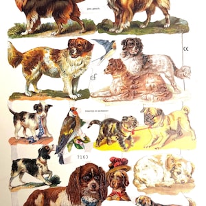 RELIEVES DE RECORTES PERRO (1 hoja) n.º 7163 - Troqueles en relieve - Fabricados en Alemania