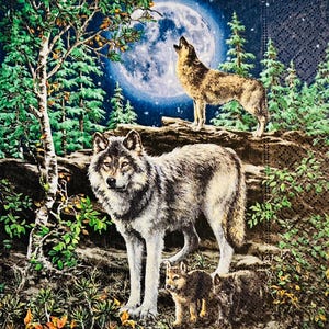 May include: A detailed illustration depicts a nighttime forest scene with wolves. A large full moon shines brightly in the background. Two wolves stand on a rocky outcrop, with one howling at the moon. A third wolf and two cubs are in the foreground.