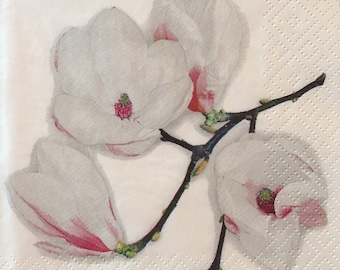 3 Decoupage Beverage Napkin - White Magnolia Branch 10" x 10"