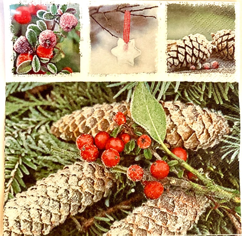 May include: A close-up of a wintery scene with pine cones, holly berries, and a frosted green branch. The pine cones are brown and have a rough texture. The holly berries are red and shiny. The frosted green branch is covered in a thin layer of frost. The scene is set against a white background.