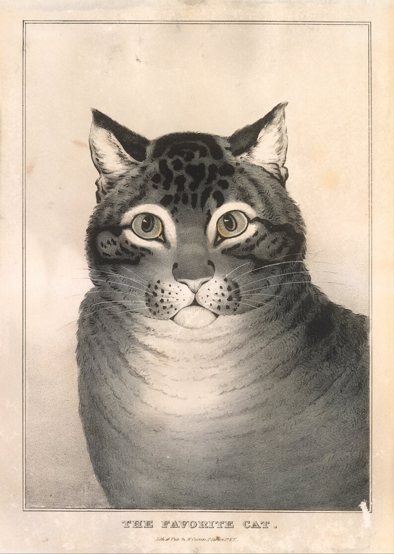 3 Authentic Vintage Beverage Decoupage Napkins Nathaniel Currier The Favorite Cat Metropolitan Museum of Art MMA, 10 x 10 image 5