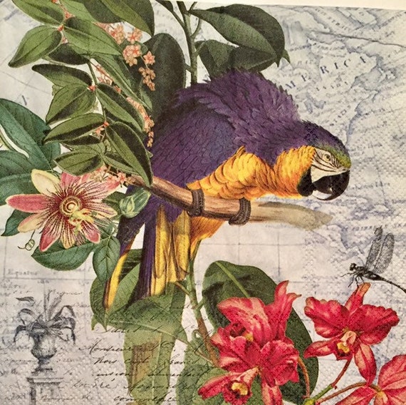 3 tovaglioli per decoupage Uccello tropicale Pappagallo Ara Collage, 13 x  13 Spiegato -  Italia