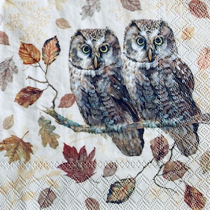 3 Decoupage Servietten, 2 Herbst Wald eulen 13" x 13" Unfolded