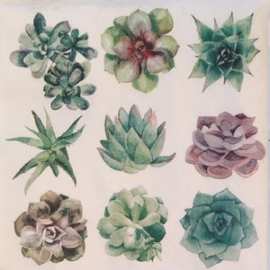 3 Servilletas de decoupage, 36 Suculentas cactus 13" x 13" desplegadas
