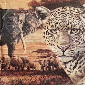 3 decoupage servetten, Afrikaanse dieren Luipaard Olifant Zebra Collage, 13 "x 13" uitgevouwen