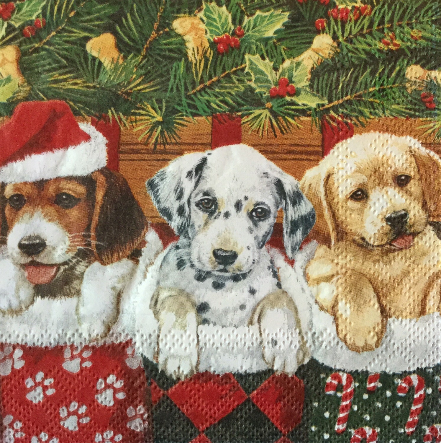 Terms of use decorative dog Terms of use decorative dog