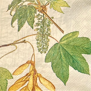 3 tovaglioli per bevande Decoupage, foglie autunnali botaniche sbiadite 10 "x 10" spiegate