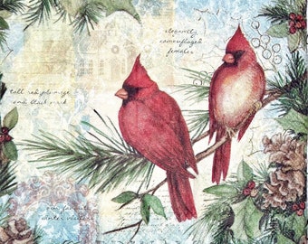 3 Decoupage Beverage Napkins, Two Winter Red Cardinal Birds Field Guide, 10" x 10" Unfolded