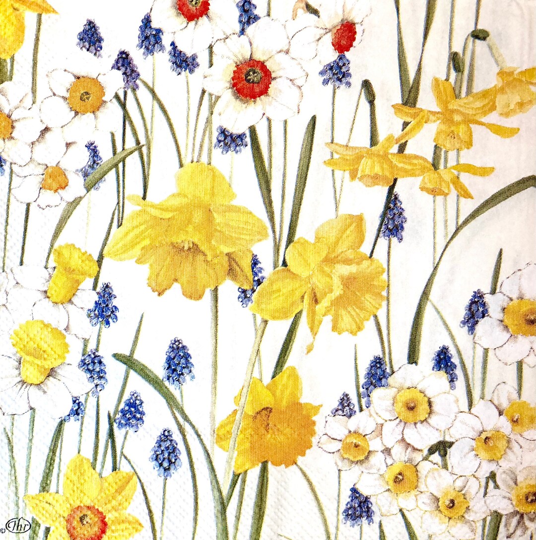 3 Decoupage Napkins, Spring Flowers Daffodils Grape Hyacinths, 13 X 13