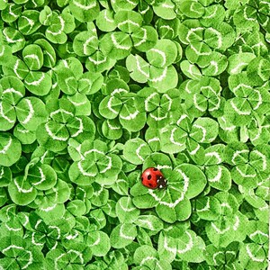 3 tovaglioli per decoupage, buona fortuna, trifoglio verde, coccinella rossa, 13" x 13"