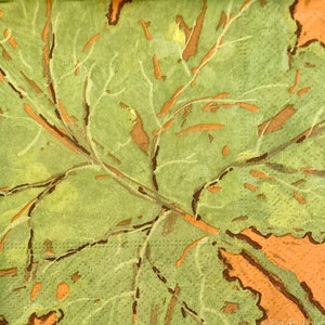 Puede incluir: Primer plano de una hoja verde con venas marrones y una superficie texturizada. La hoja está parcialmente oscurecida por un fondo marrón.