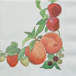 3 tovaglioli per bevande Decoupage, autentico bordo frutta a stampa Potpourri vintage, 10" x 10" dispiegato