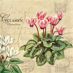 3 serwetki do decoupage'u - Cyklamen Botaniczny kolaż 13" x 13" rozłożone