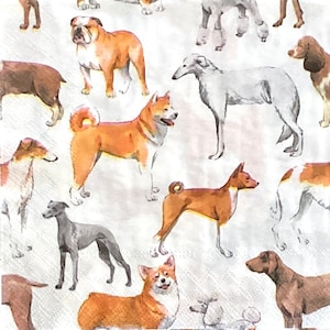 3 tovaglioli per decoupage, ritratti d'amore di bellissimi cani Fasana, 13" x 13" aperti
