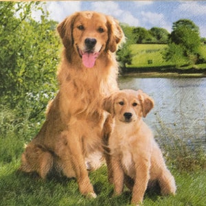3 Decoupage-Servietten, Golden Retriever Hunde, 33cm x 33cm