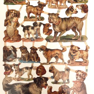 SCRAP RELIEFS DOGS #7213 - Troqueles en relieve - Fabricados en Alemania