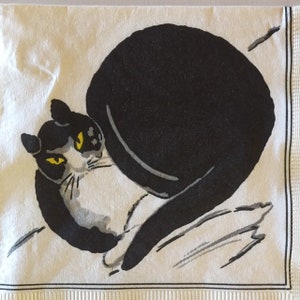 May include: A black and white cat with yellow eyes is curled up on a white background. The cat's tail is wrapped around its body.