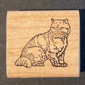 Könnte beinhalten: Eine Schwarzweiß-Zeichnung einer Wildkatze, die auf einer Holzoberfläche sitzt. Die Katze hat ein geflecktes Fell und schaut nach links.
