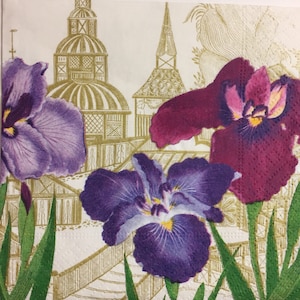 3 Servilletas de bebida de coupage, Palacio Iris Jardín Luz diurna, 10 &quot;x 10&quot;