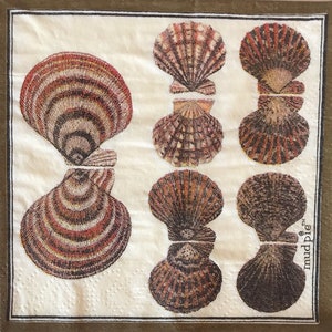 3 serwetki do napojów do decoupage'u, kolekcja klasycznych muszli morskich w kształcie łapy lwa, 10" x 10" po rozłożeniu