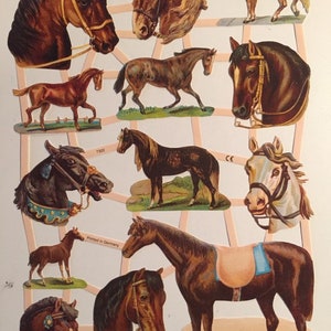 Paarden SCHROOT RELIËFS (1 vel) #7302-reliëf sterven bezuinigingen-Made in Germany
