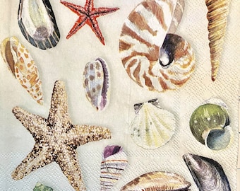 3 Decoupage Napkins, Beautiful Shells Starfish 13" x 13" unfolded