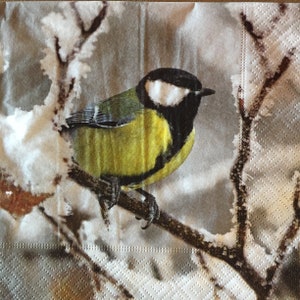 3 serviettes de découpage, hiver Parus Major oiseau branche neige 13 "x 13"