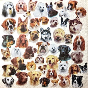 3 Servietten Servietten, 192 Hunde Freunde Köpfe Portraits Sammlung 13 "x 13" ungefaltet