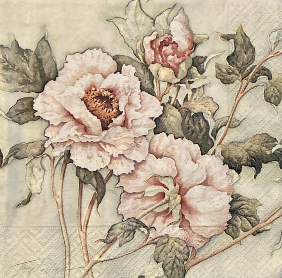 Confezione 20 Tovaglioli Floreali 3 Veli, Motivo Rose, 33x33 Cm, Colore Crema, Qualità Superiore Per Pranzi E Feste