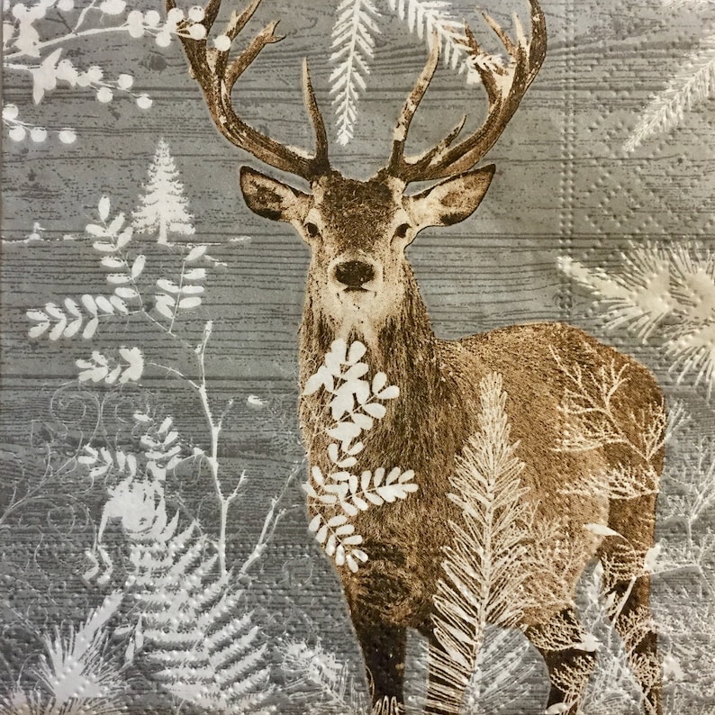 X106 Woodland raccoon Xmas Christmas 4 Single paper decoupage napkins